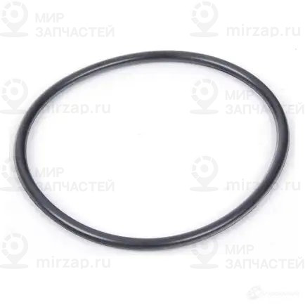 Кольцо круглого сечения 56 X 2,75MM
BMW 11667566483