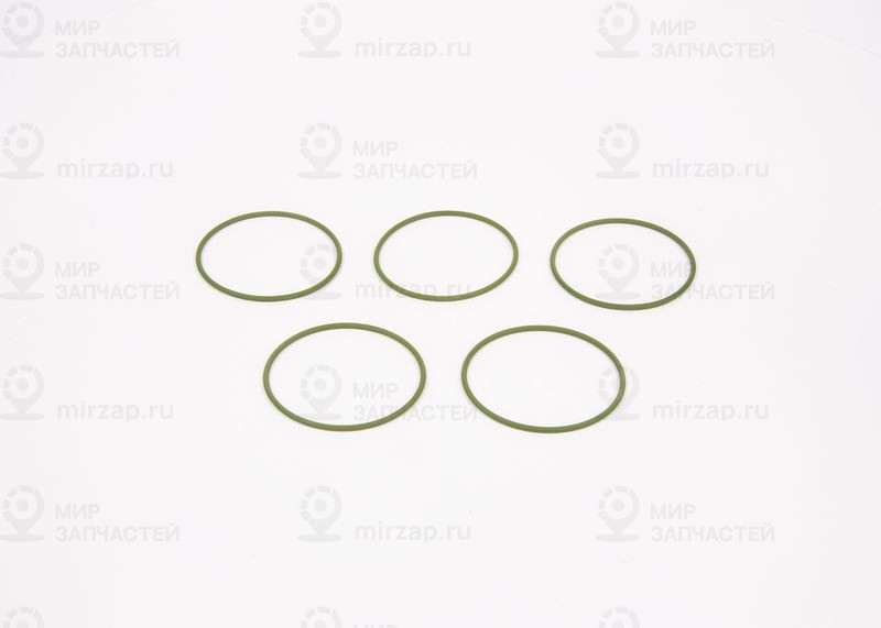 Уплотнительное кольцо BOSCH F01M100048