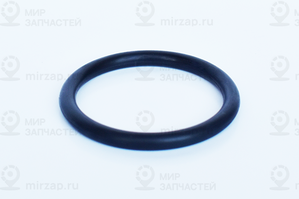 Запчасть ASAM 55799