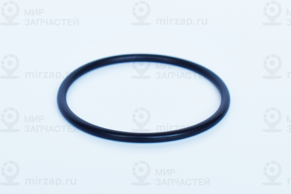 Запчасть ASAM 55800