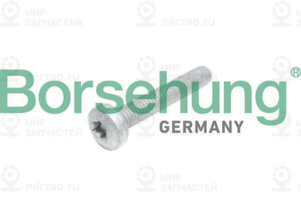 Болт головки цилиндра Borsehung B10645