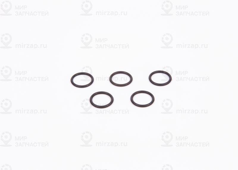 Уплотнительное кольцо BOSCH 1410210014