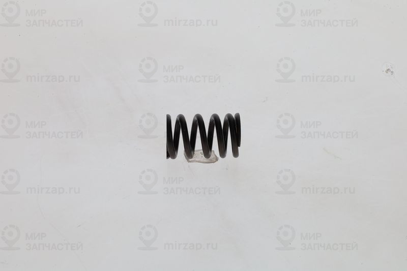 Рессора BOSCH 1424619025
