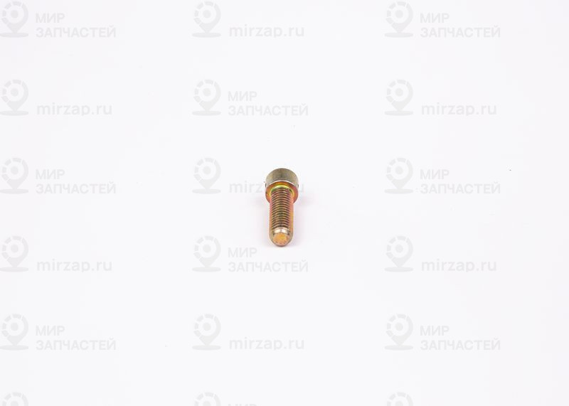 Болт BOSCH 2423410031