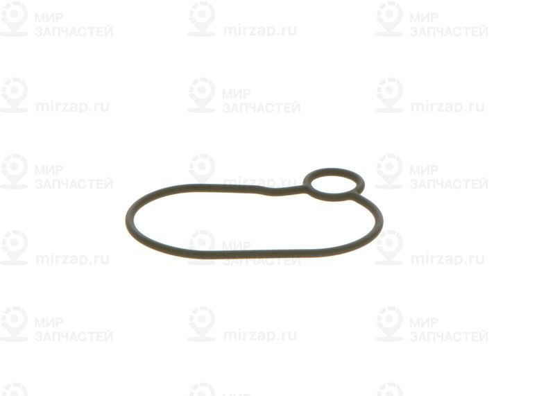 Уплотнительное кольцо BOSCH 2440210054