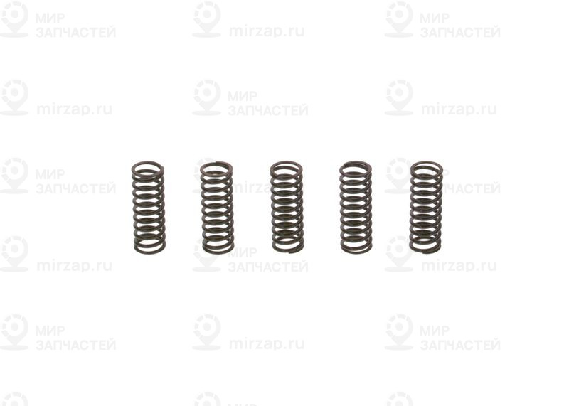 Рессора BOSCH 2444617010
