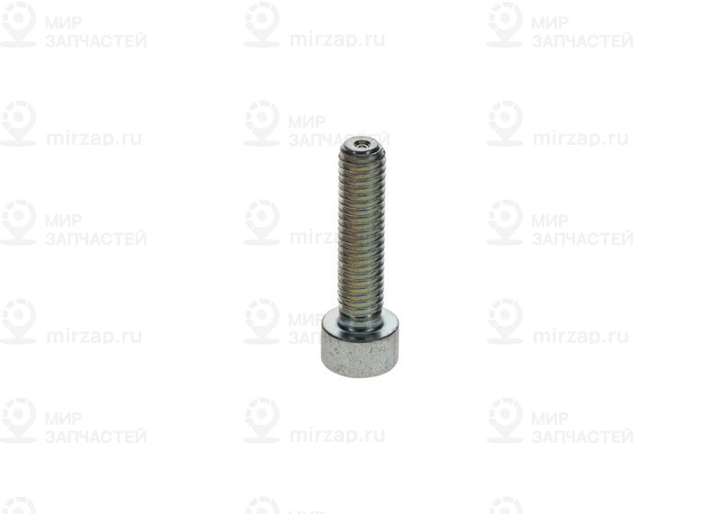 Болт BOSCH 2910148203