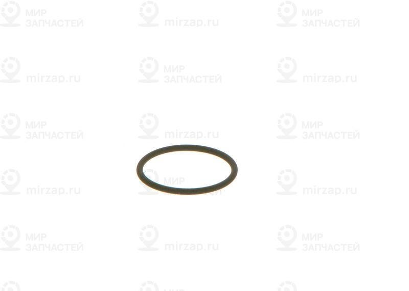 Уплотнительное кольцо BOSCH F00VC38002