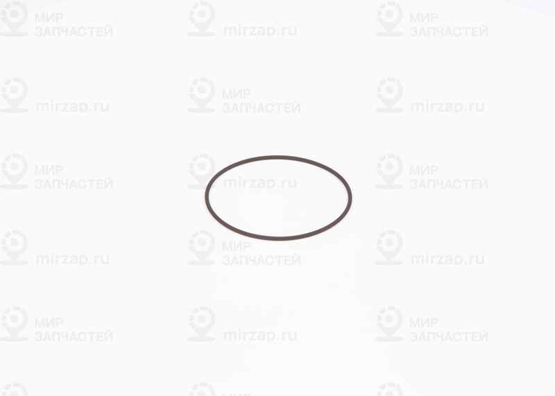 Уплотнительное кольцо BOSCH F01M100371