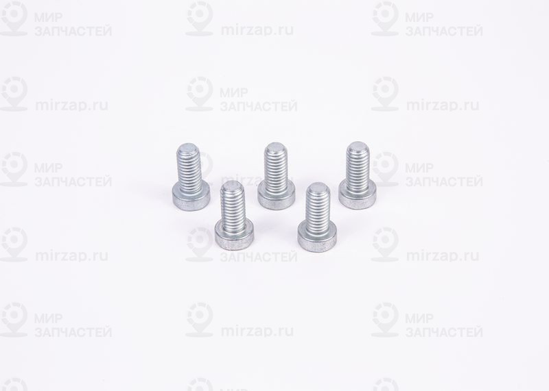 Болт BOSCH F01M100684