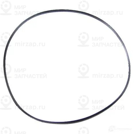 Уплот.кольцо генератора с водяным охлаж.
 BMW 12317507996