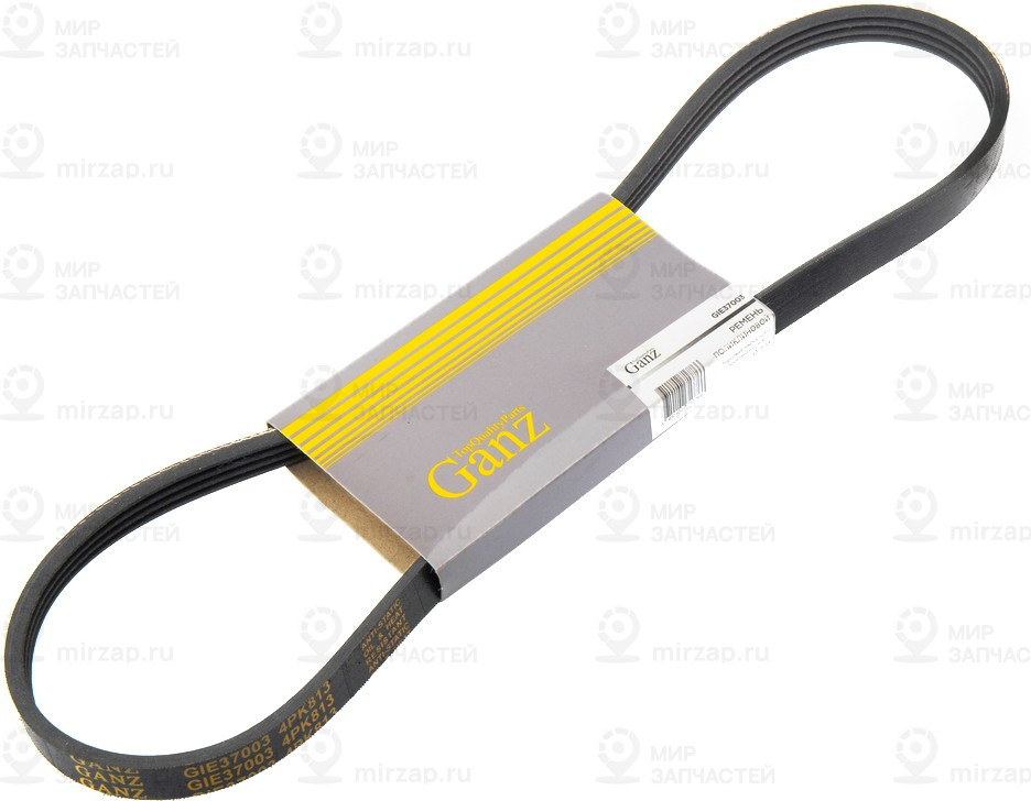 Запчасть GANZ GIE37003