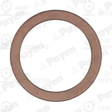 Запчасть PAYEN KG5217