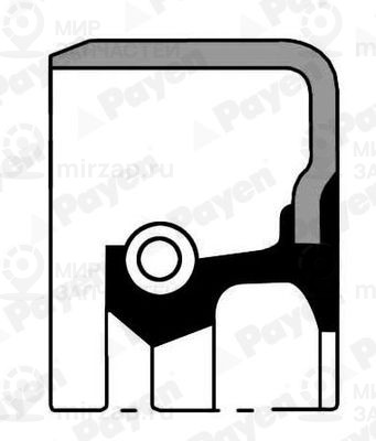 Запчасть PAYEN NJ416