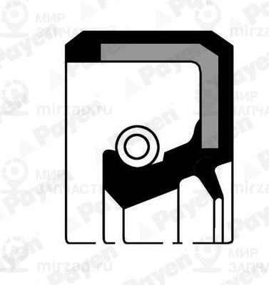 Запчасть PAYEN NJ986