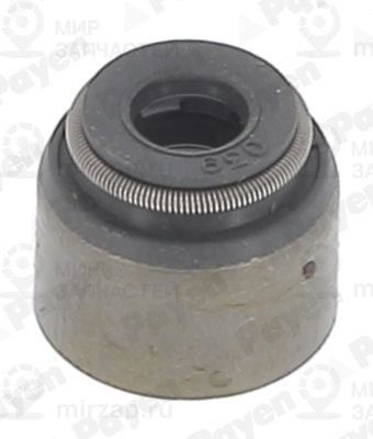 Запчасть PAYEN PA6055