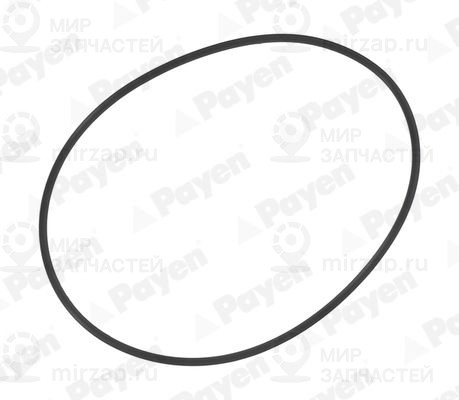 Запчасть PAYEN PA709