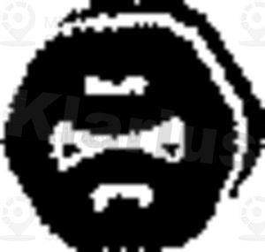 Запчасть KLARIUS 420179