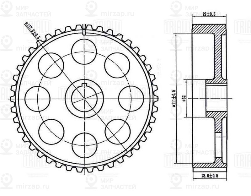 Запчасть TRIALLI CG107
