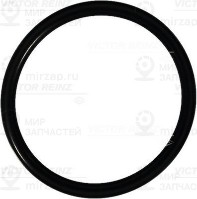 Запчасть VICTOR REINZ 407609700