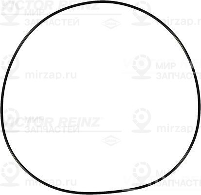 Запчасть VICTOR REINZ 407691500