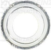 Запчасть VICTOR REINZ 702579200