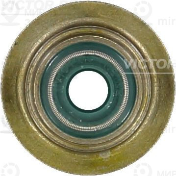 Запчасть VICTOR REINZ 703303200