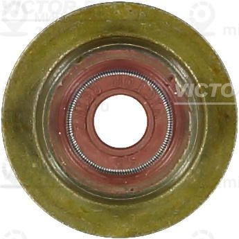Запчасть VICTOR REINZ 703524100