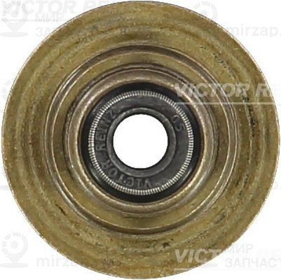 Запчасть VICTOR REINZ 703554700