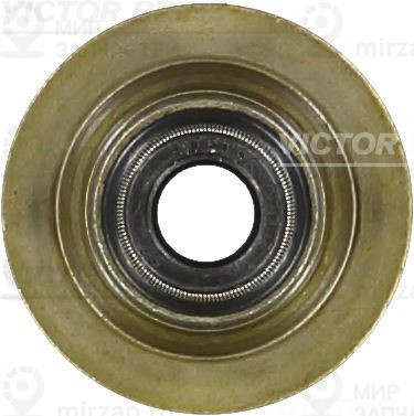 Запчасть VICTOR REINZ 703705300