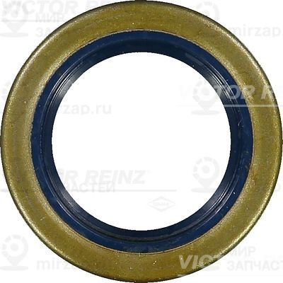 Запчасть VICTOR REINZ 813385700