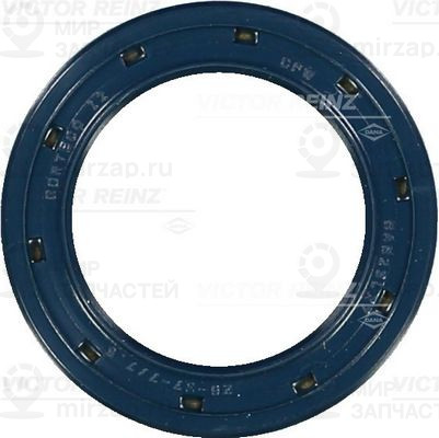 Запчасть VICTOR REINZ 813506900