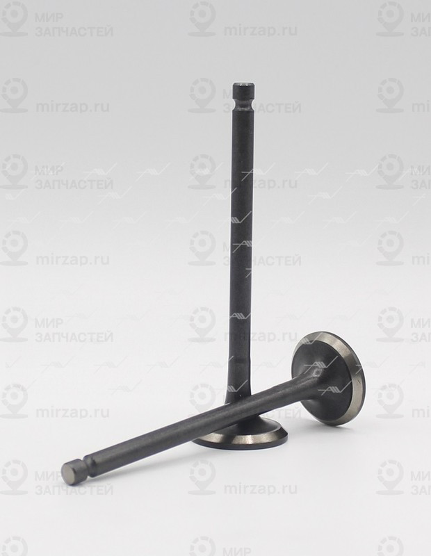 Запчасть AUTOWELT VE32032