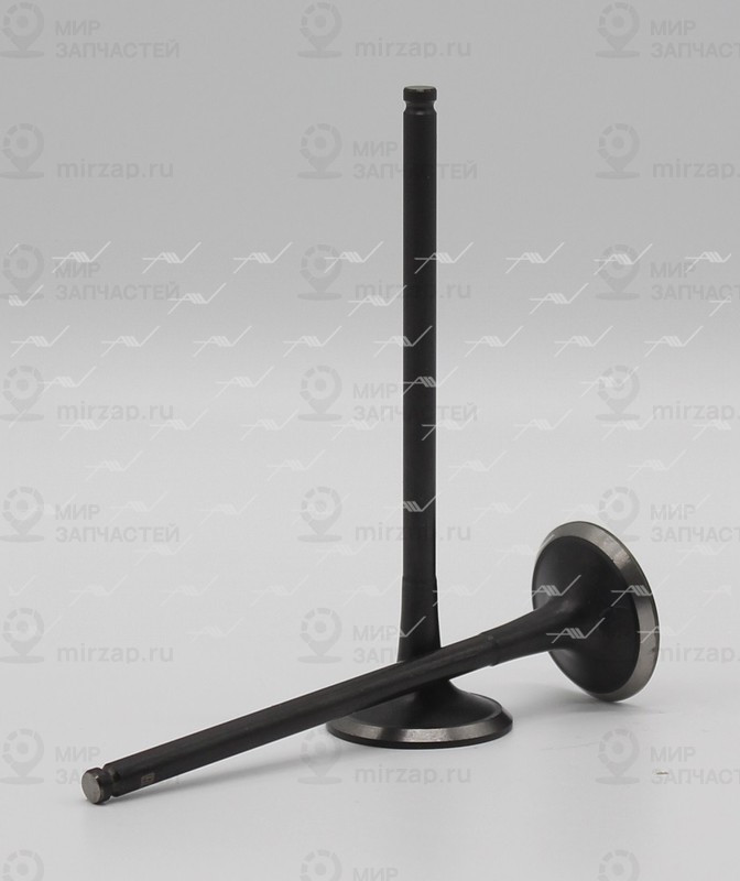 Запчасть AUTOWELT VE32050