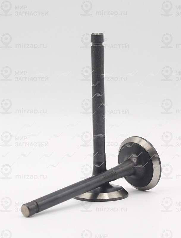 Запчасть AUTOWELT VE34004