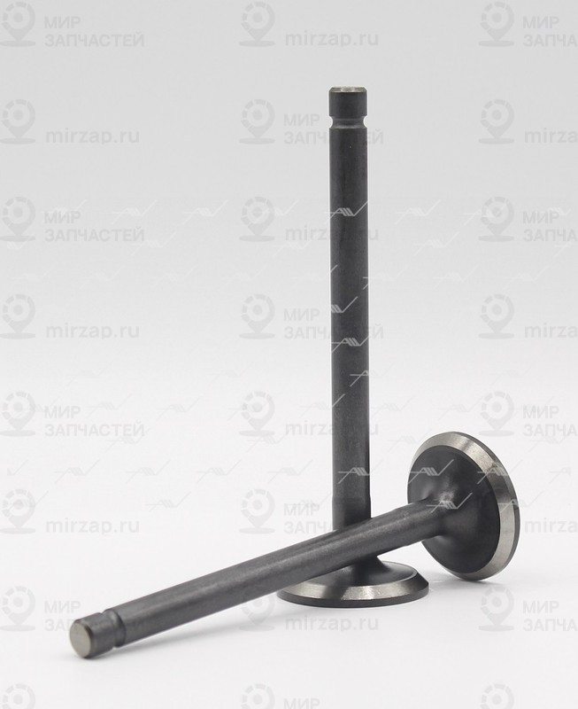 Запчасть AUTOWELT VE34012