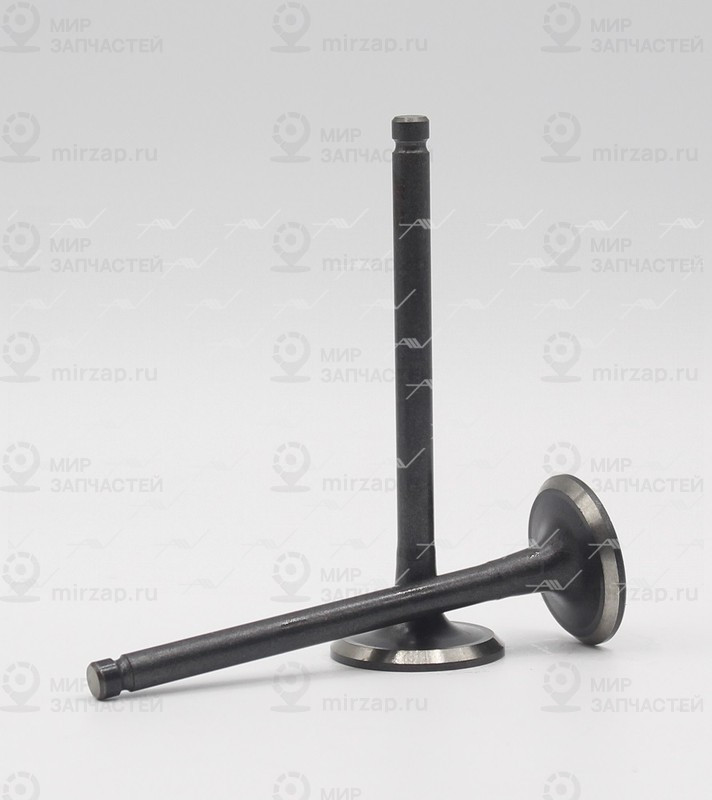 Запчасть AUTOWELT VE37006