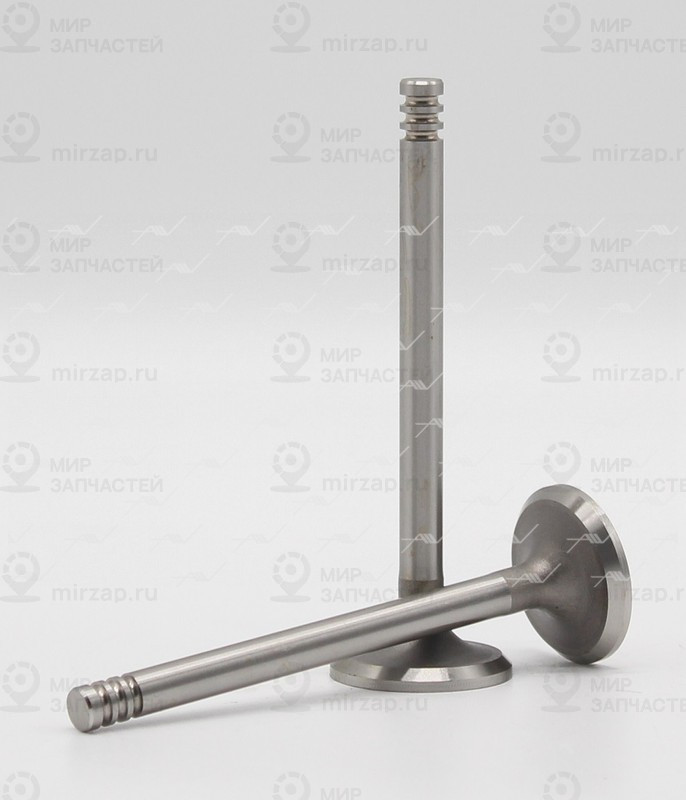 Запчасть AUTOWELT VE51000