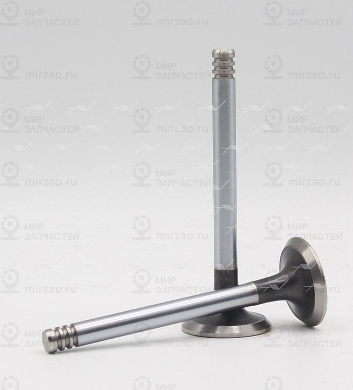 Запчасть AUTOWELT VE51003