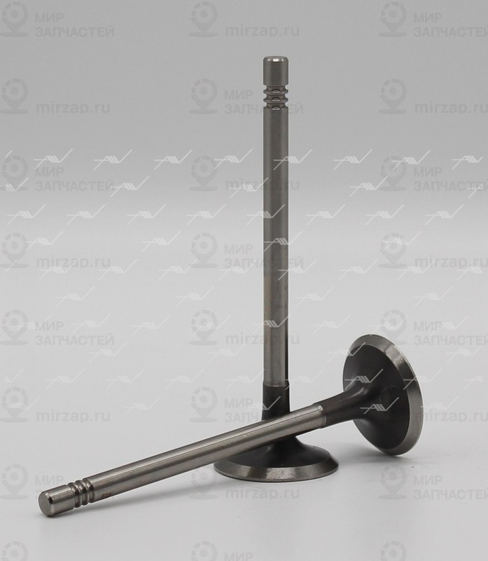 Запчасть AUTOWELT VE51027