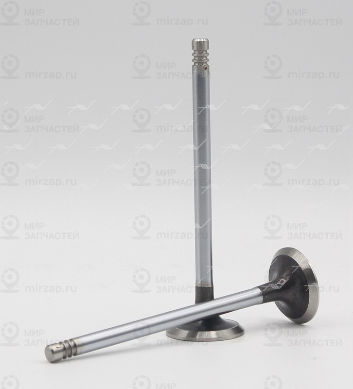 Запчасть AUTOWELT VE53000