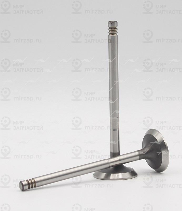 Запчасть AUTOWELT VE54001