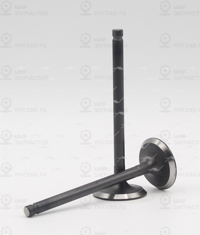 Запчасть AUTOWELT VI34002