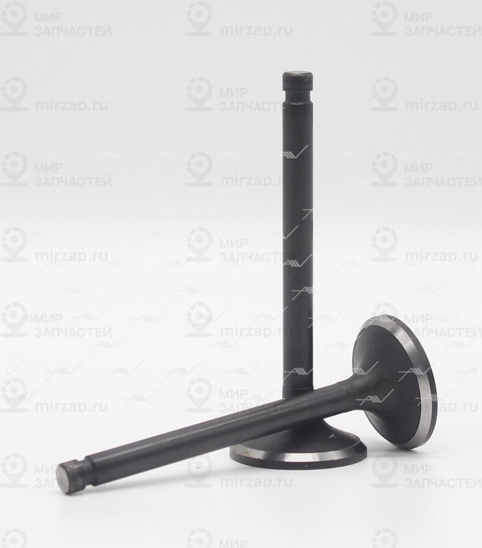 Запчасть AUTOWELT VI34021