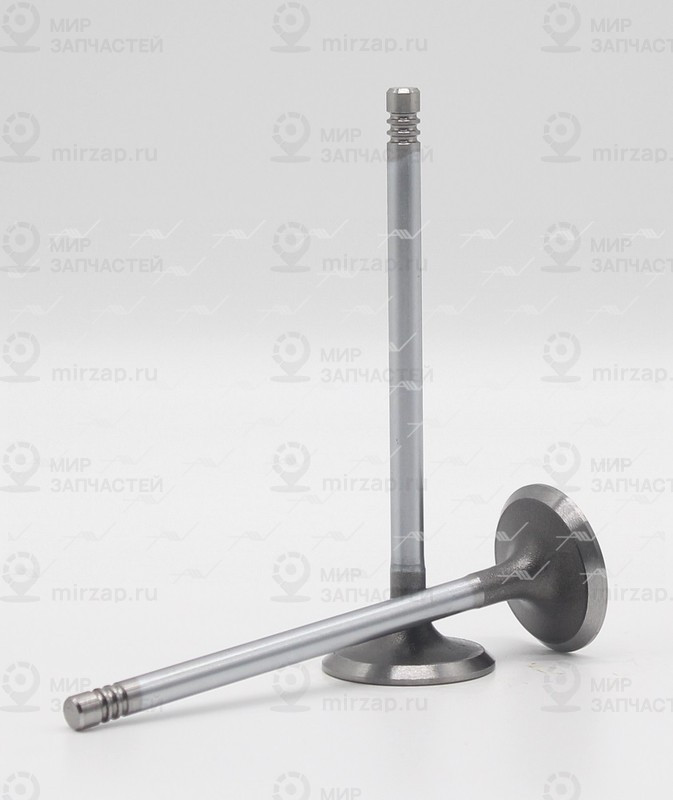 Запчасть AUTOWELT VI53000