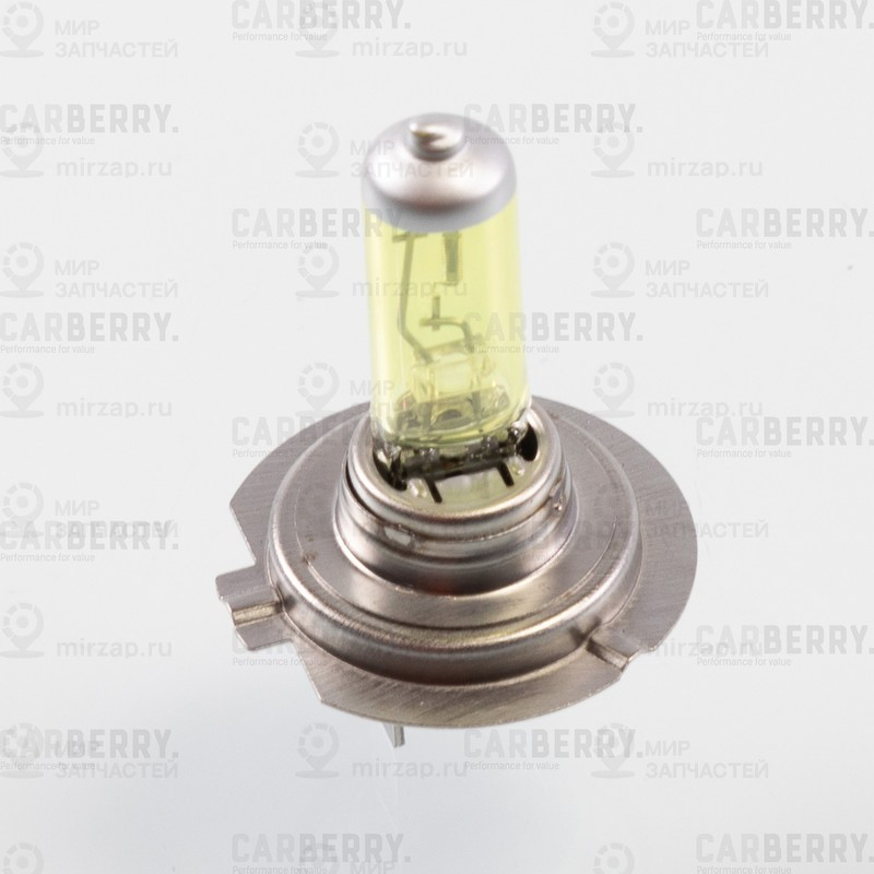 Запчасть CARBERRY 31CA13FL