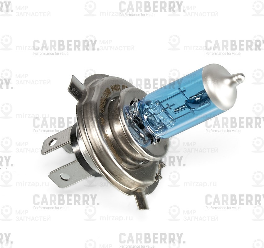 Запчасть CARBERRY 31CA7PL