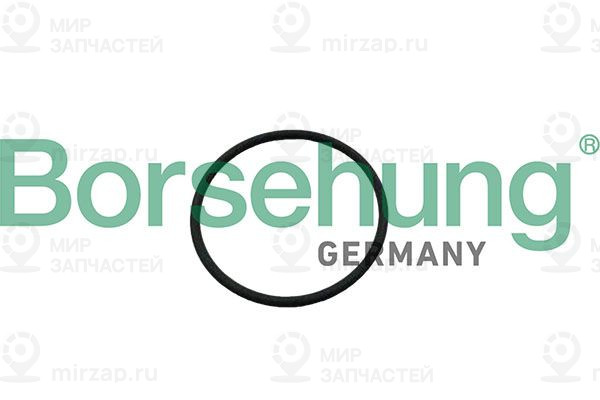 Запчасть Borsehung B12926