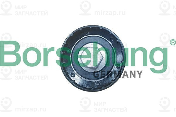 Запчасть Borsehung B13249