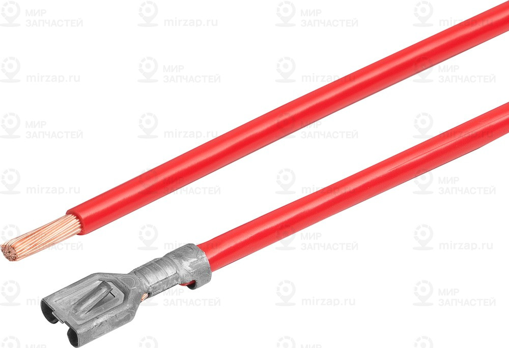 Запчасть CARGEN AX58504